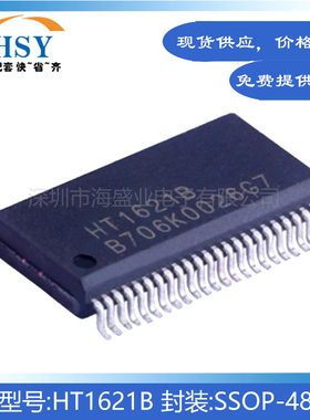 HT1621B 全新国产SSOP48贴片RAM映射LCD驱动器液晶芯片集成电路IC
