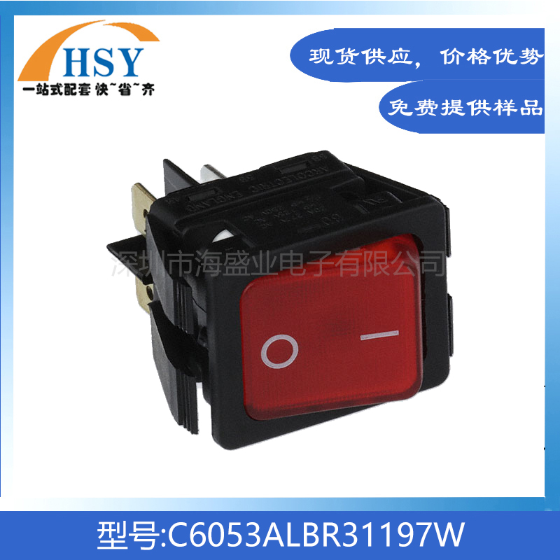 C6053ALBR31197进口翘板船型开关