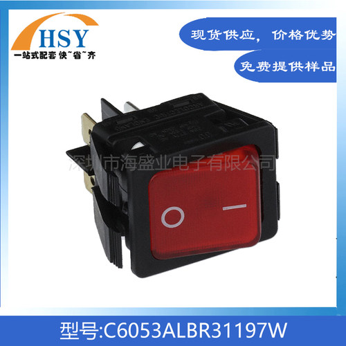C6053ALBR31197进口翘板船型开关