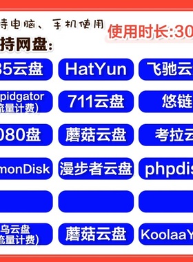 YuFile盘飞驰云盘LemonDisk蘑菇HatYun盘1080考拉云NitroFlare711