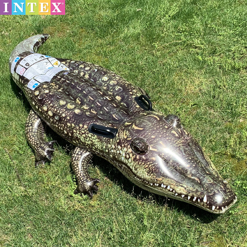 INTEX儿童小鳄鱼坐骑动物游泳圈