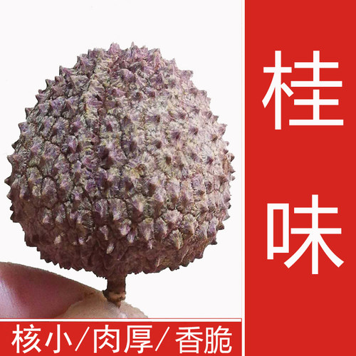 荔枝干22年新货广东荔核小特级