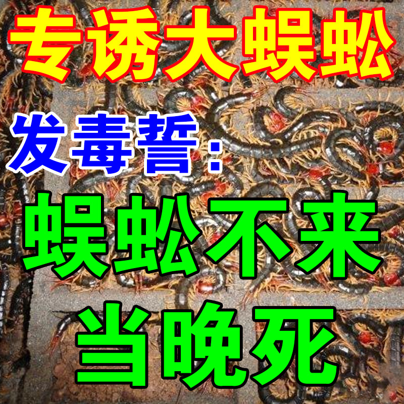 抓蜈蚣神器【当晚抓万只】户外活虫千足诱捕捉诱食粉剂专用药夹子