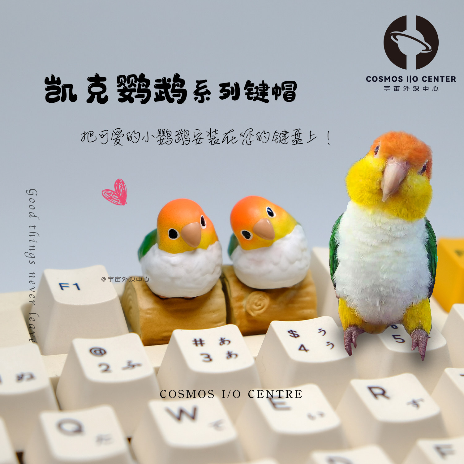 个性外设萌趣缤纷凯克鹦鹉鸟可爱手工萌宠键帽创意定制节生日礼物,电脑硬件/显示器/电脑周边,客制化键盘套件,淘宝优惠券,粉丝福利购,淘宝优惠卷