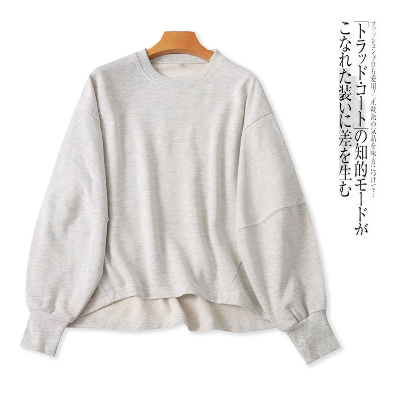 毛圈棉休闲卫衣  秋季新款外贸男女款圆领套头长袖大版卫衣29886