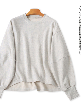 毛圈棉休闲卫衣  秋季新款外贸男女款圆领套头长袖大版卫衣29886