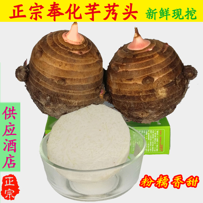 新鲜奉化芋艿头粉糯香甜