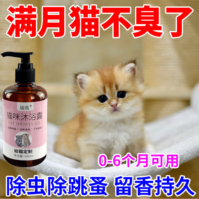 幼猫专用沐浴露满月猫小猫洗澡沐浴液杀菌除臭除跳蚤止痒宠物猫咪