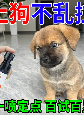 土狗定点排便神器狗狗专用诱导剂