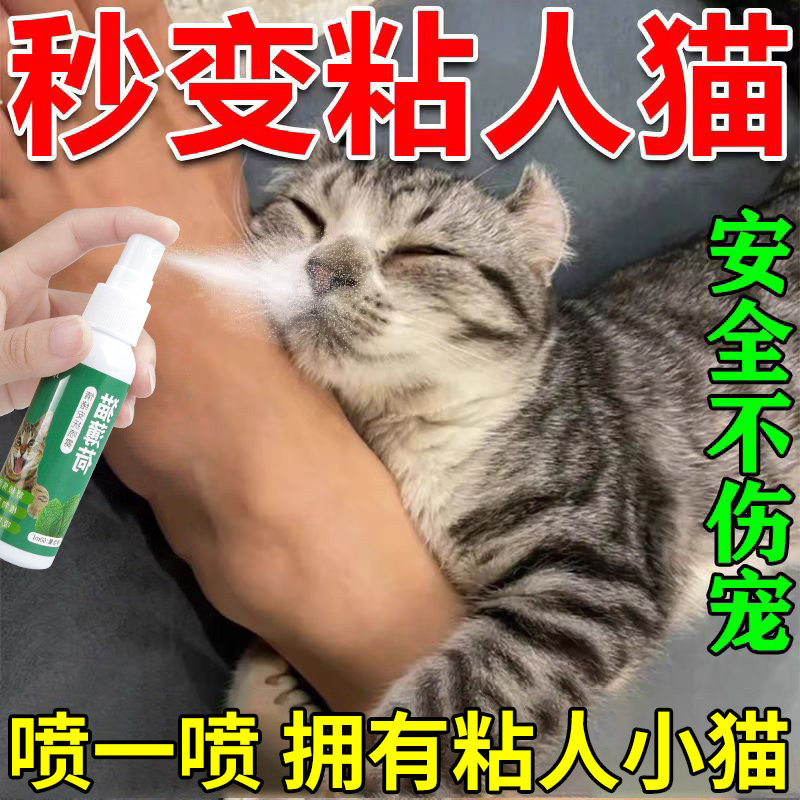 猫薄荷喷雾吸猫神器猫咪亲人粘人图片