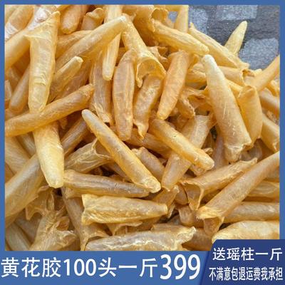 深海黄花胶鱼胶一斤60头干货孕产妇鱼泡鱼膘鱼肚滋味品筒胶100头