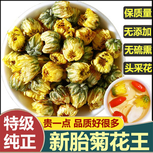芳元 白菊杭花茶搭枸杞金特技银花决明子茶 特级头茬胎菊菊花茶正品