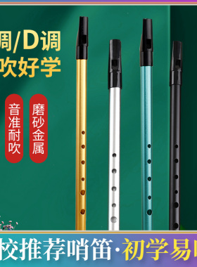 爱尔兰哨笛初学者入门学生口笛6孔cd调风笛新款金属竖笛笛子乐器