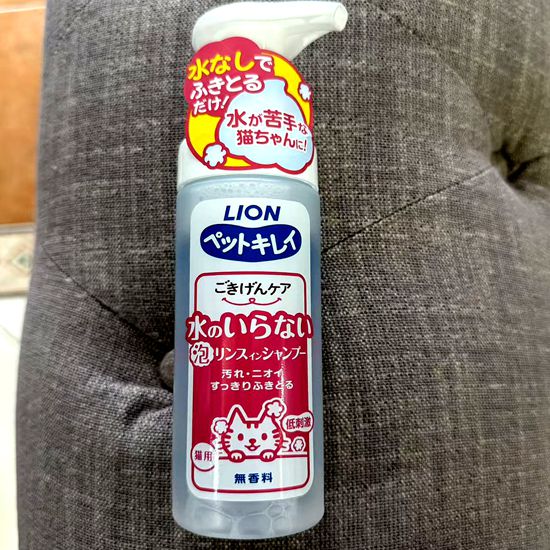 狮王LION免水洗泡沫沐浴露