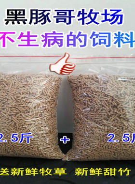 荷兰猪豚鼠天竺鼠专用主粮食饲料
