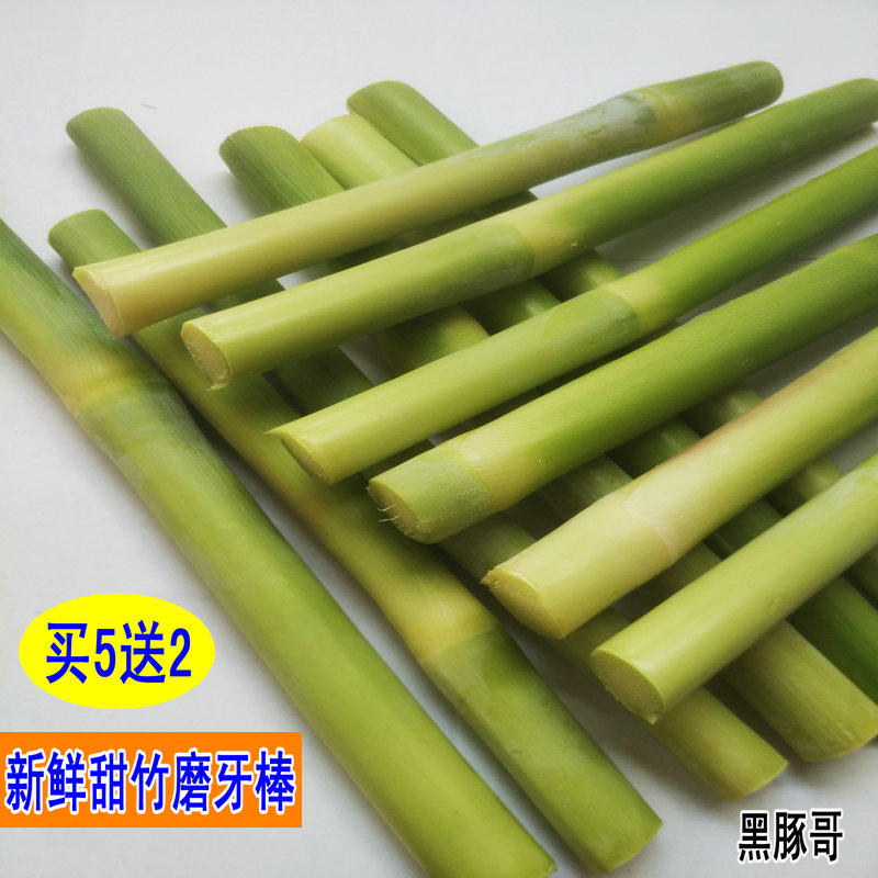 新鲜甜竹磨牙棒宠物苹果枝磨牙饼