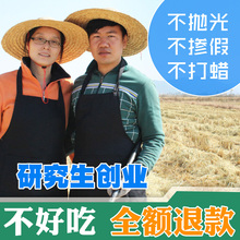 东北5kg吉林延边10斤白米新米1