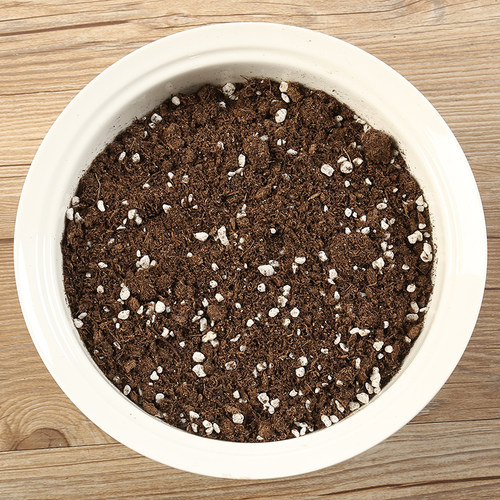 多肉植物营养土 三合一泥炭种植土颗粒土 种菜种花植料园土陶粒