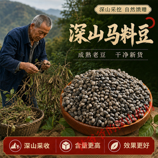 深山天然马料豆500g正品中药材野大豆肾型野料豆 小黑豆 黑料豆