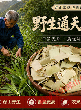 深山野生通天草500g正品中药材