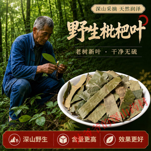 深山野生枇杷叶500g药用泡茶