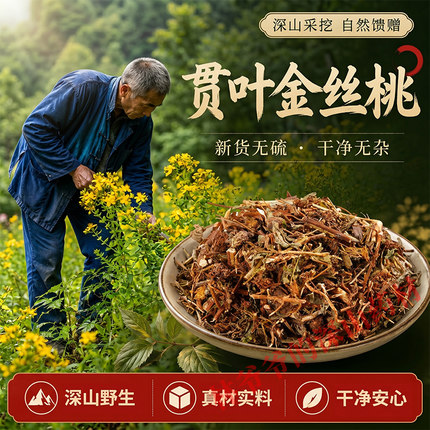 深山野生贯叶金丝桃500g正品中药材贯叶连翘千层楼小对叶草赶山鞭