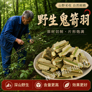 深山野生鬼箭羽500g卫矛六月凌正品鬼见羽鬼剑羽药用高含量中药材