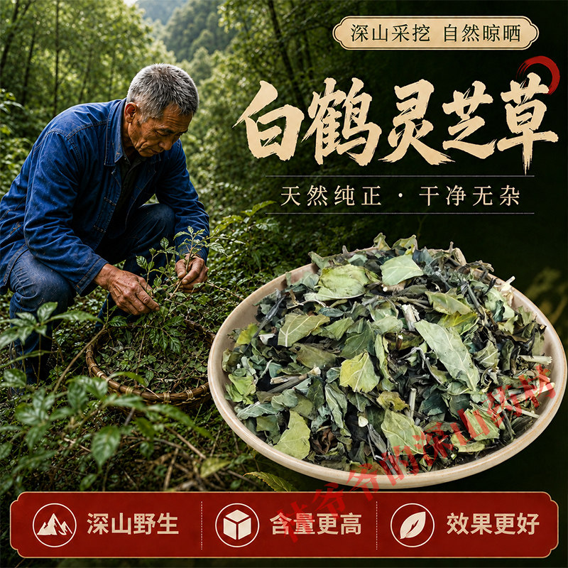野生白鹤灵芝草500g山野好货图片