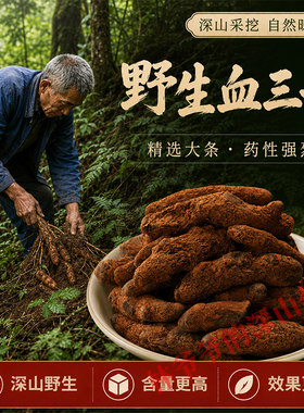 深山野生血三七500g正品中药材