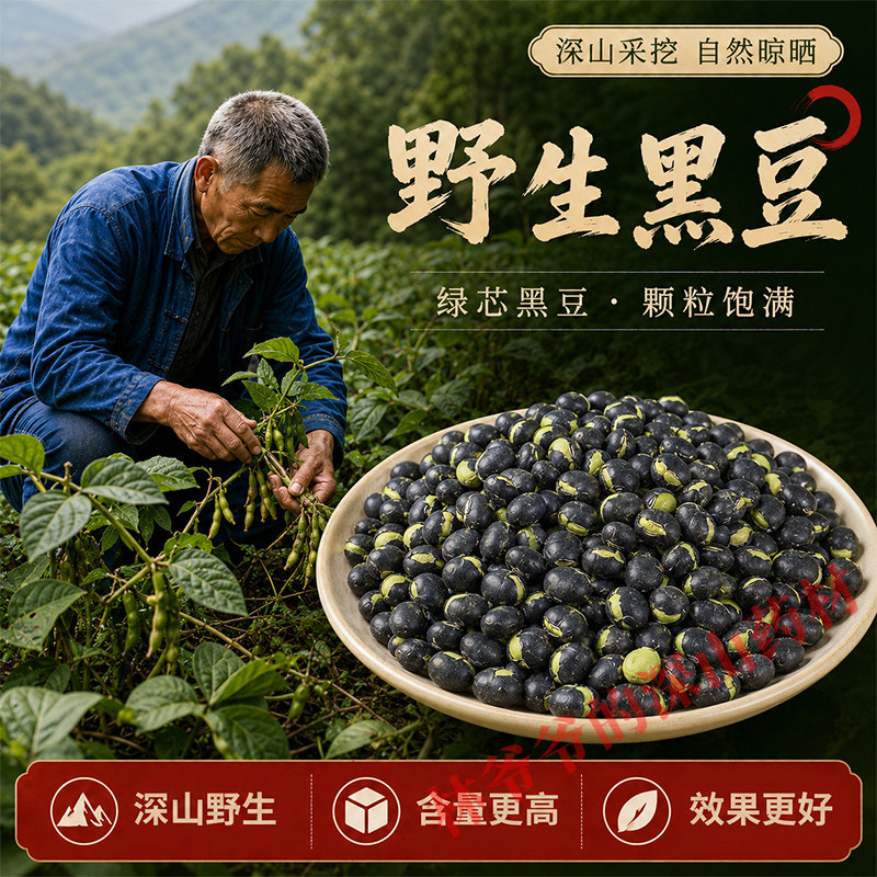 深山野生黑豆500g老品种药用绿芯黑豆绿心大粒天然新货中药材