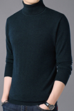 2023秋冬新款纯羊毛衫男百分百羊毛针织衫高领打底衫毛衣韩版P100，男装针织衫/毛衣，电商B360
