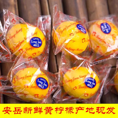 一级果皮多汁柃檬香水批发黄柠檬