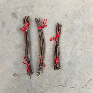 天然野生桃木枝桃树枝东南枝宝宝婴儿出院惊吓啼哭压惊桃木桃枝条