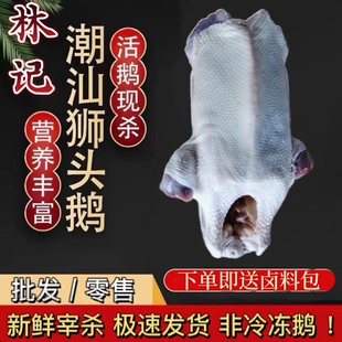 鹅肉新鲜现杀大鹅潮汕狮头鹅鹅壳卤水鹅散养老鹅每块3到4斤
