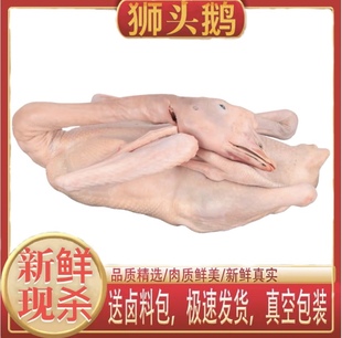 广东潮汕特产狮头鹅整只10斤散养鹅新鲜现杀鹅肉全鹅特大纯种鹅