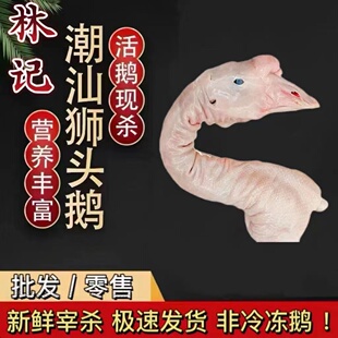 潮汕特产 正宗潮汕狮头鹅头 鹅颈 农家散养 下酒菜酒料 140天左右