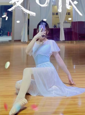 E-LIN Dacing芭蕾舞形体服斜边裙弹力网成人纱裙半身裙教师