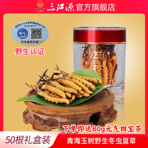 三江源冬虫夏草玉树虫草高海拔