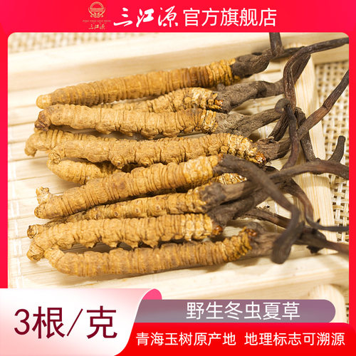 三江源冬虫夏草新草青海虫草