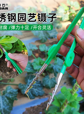 园艺工具镊子不锈钢拔草拔苗拾物夹子种花家用种菜取物夹种子农用