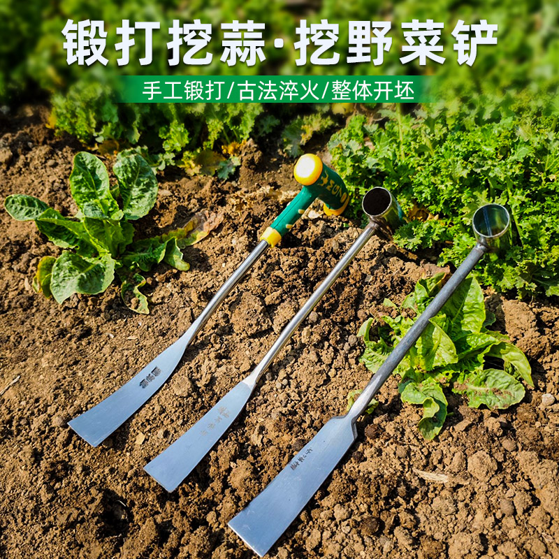 挖野菜小铲子种菜挖大蒜种花户外