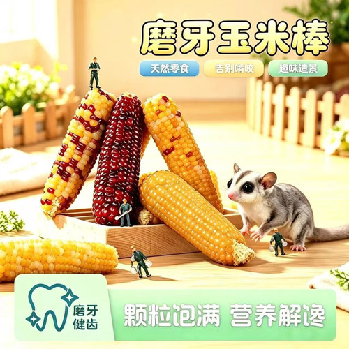 磨牙小玉米棒蜜袋鼯零食金丝熊松鼠豚鼠天然磨牙棒小宠磨牙零食