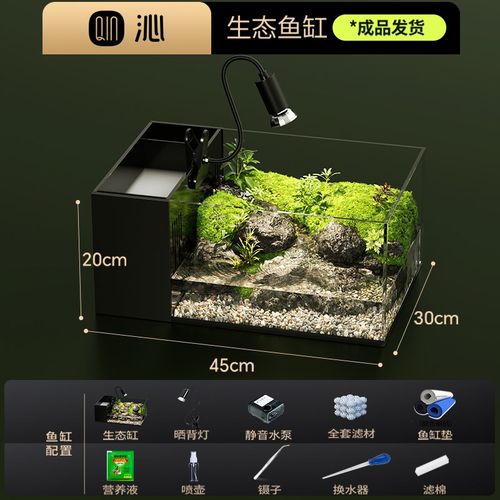 寄居蟹饲养箱小螃蟹生态相手相守蟹专用蟹缸宠物养螃蟹造景小别墅