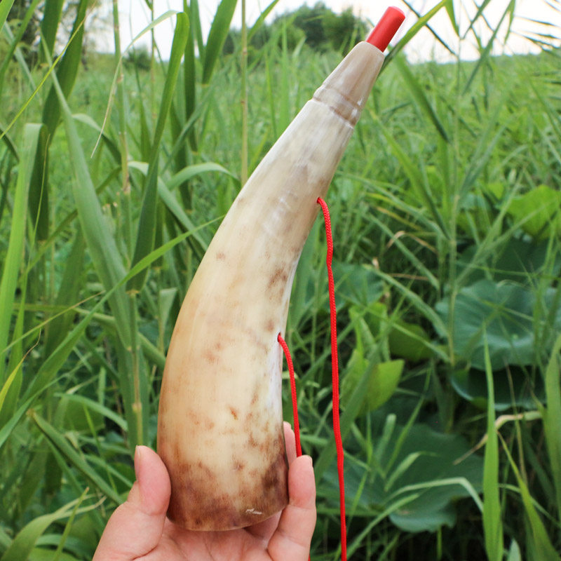 天然黄牛角号角喇叭吹响乐器特色工艺品儿童玩具口哨 长19~24厘米