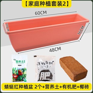 阳台蔬菜种植盆长方形塑料种菜盆家用韭菜番茄西瓜专用菜盆神器
