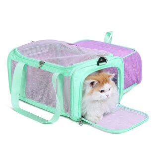 航空宠物软包韩亚海航猫包可携式外出大容量可登上飞机客舱狗箱手