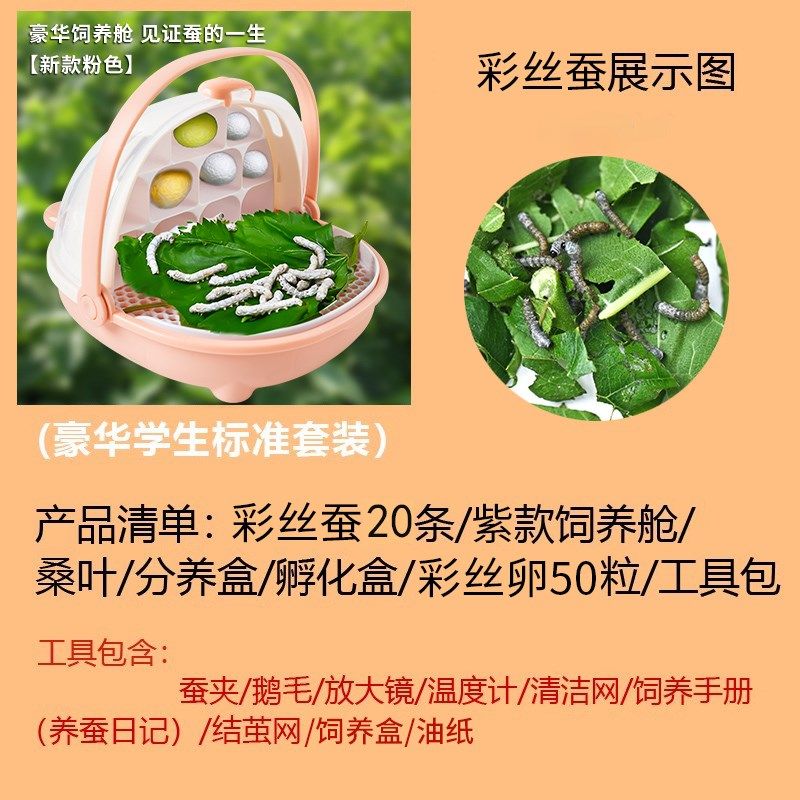 蚕宝宝学生养蚕套装太空养育仓培育饲养盒彩丝蚕送新鲜桑叶太空舱