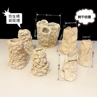 海缸沙葵千手佛窝鱼缸珊瑚基拉戈爪哇石人工红树盒子金黄紫色