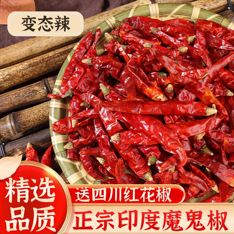 山姆冠超市正宗印度进口魔鬼椒超辣王干辣椒巨辣干辣椒特辣变态辣
