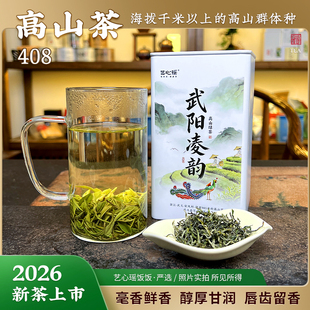 武阳凌韵 2026头春采高山毛峰绿茶  群体种土茶 新茶 安凤高山茶